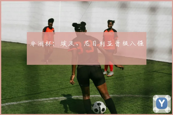 非洲杯：埃及、尼日利亚晋级八强