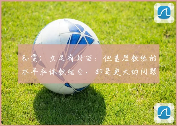 孙雯：女足有好苗，但基层教练的水平和体教结合，却是更大的问题