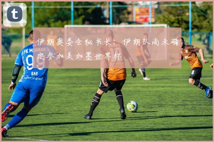 伊朗奥委会秘书长：伊朗队尚未确定参加美加墨世界杯
