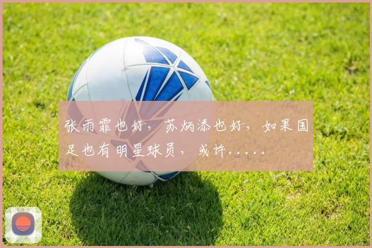 张雨霏也好，苏炳添也好，如果国足也有明星球员，或许.....
